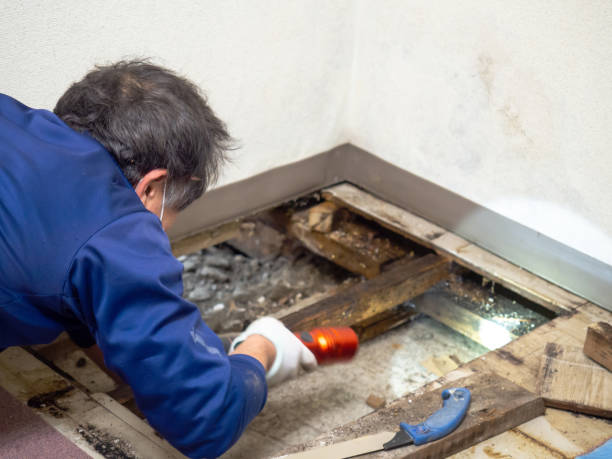 Best Mold Testing  in Bay City, OR