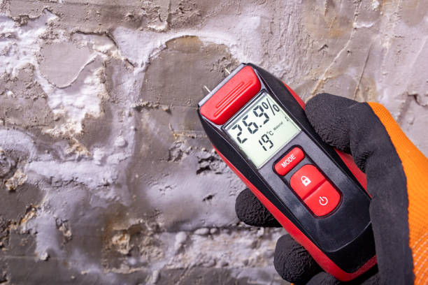 Trusted Bay City, OR Mold Removal Experts