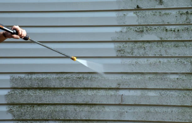Best Mold Cleaning Services  in Bay City, OR